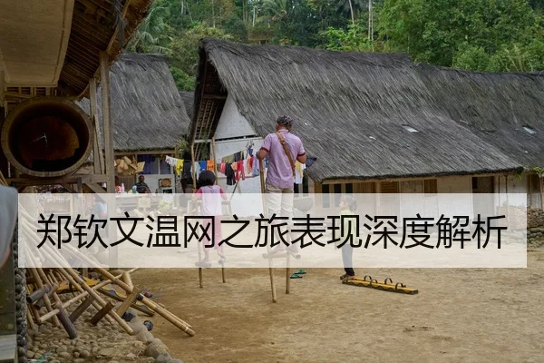 郑钦文温网之旅表现深度解析