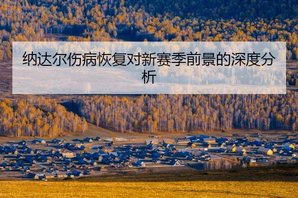 na-da-er-shang-bing-hui-fu-dui-xin-sai-ji-qian-jing-de-shen-du-fen-xi-2-922.jpg