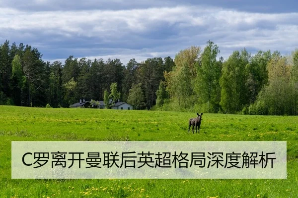luo-li-kai-man-lian-hou-ying-chao-ge-ju-shen-du-jie-xi-2-516.jpg